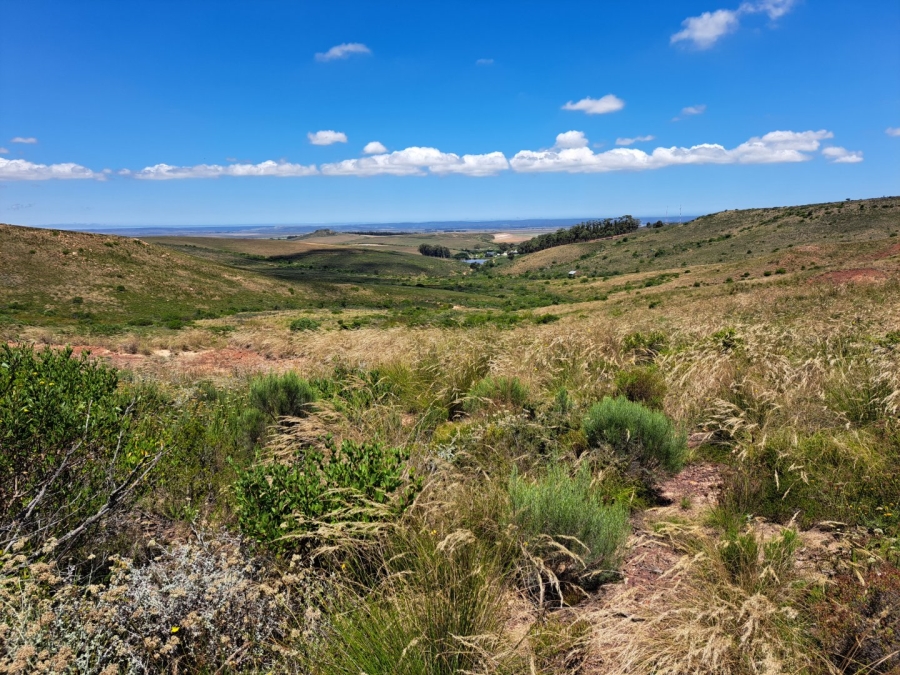 17 Bedroom Property for Sale in Riversdale Rural Western Cape